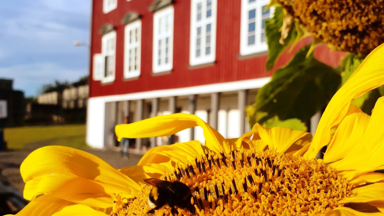 Photo of Outdoor in Oslo