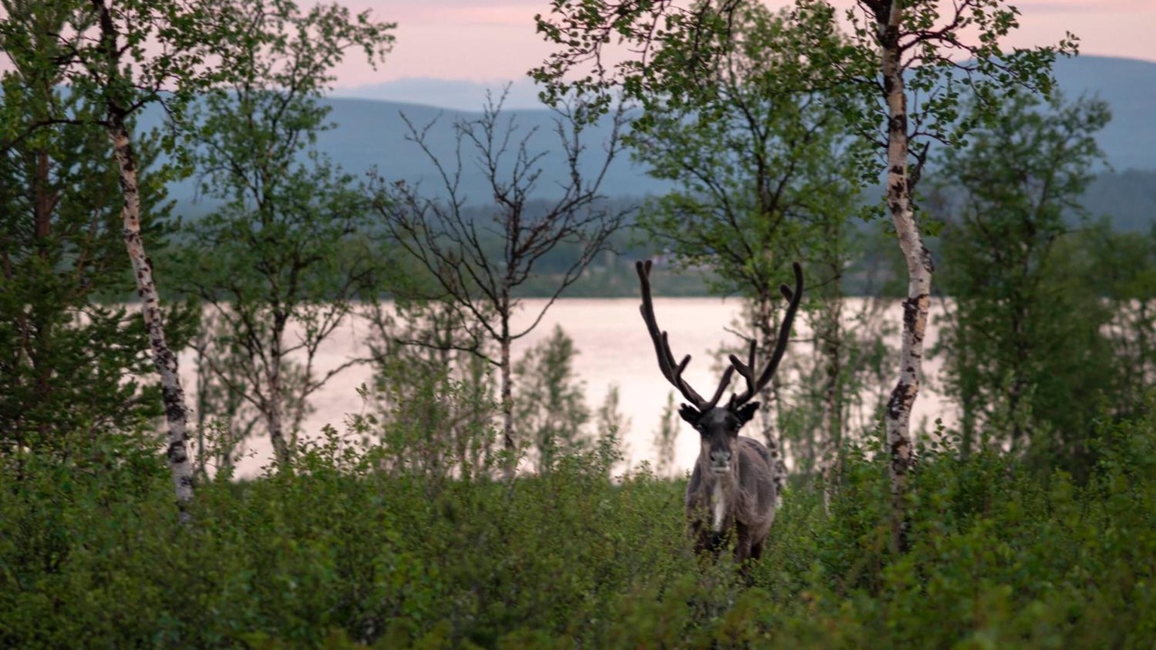 Photo of Outdoor in Kiruna