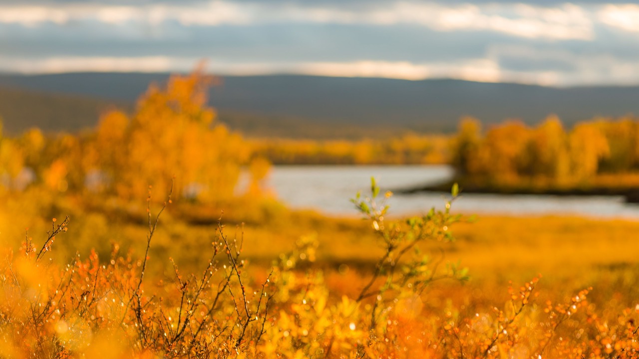 Photo of Outdoor in Kiruna