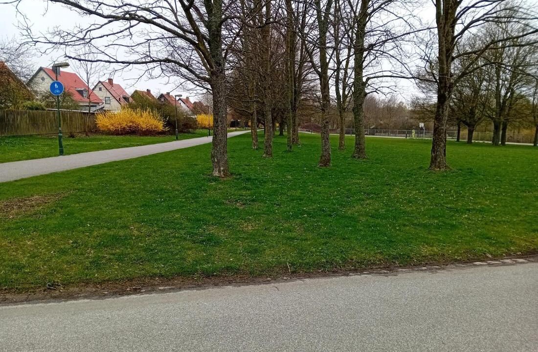 Photo of Others in Rosengard