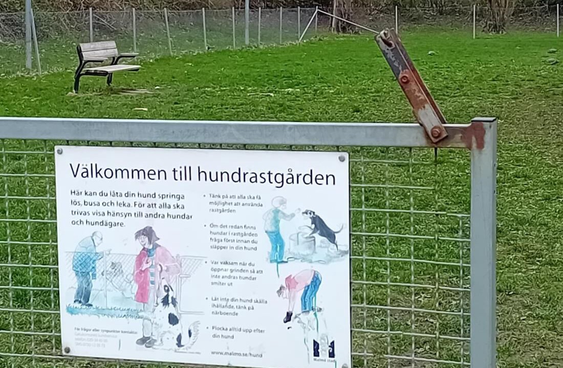 Photo of Others in Rosengard