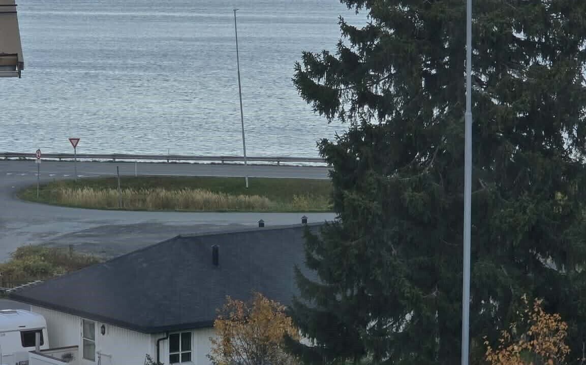 Photo of Others in Narvik