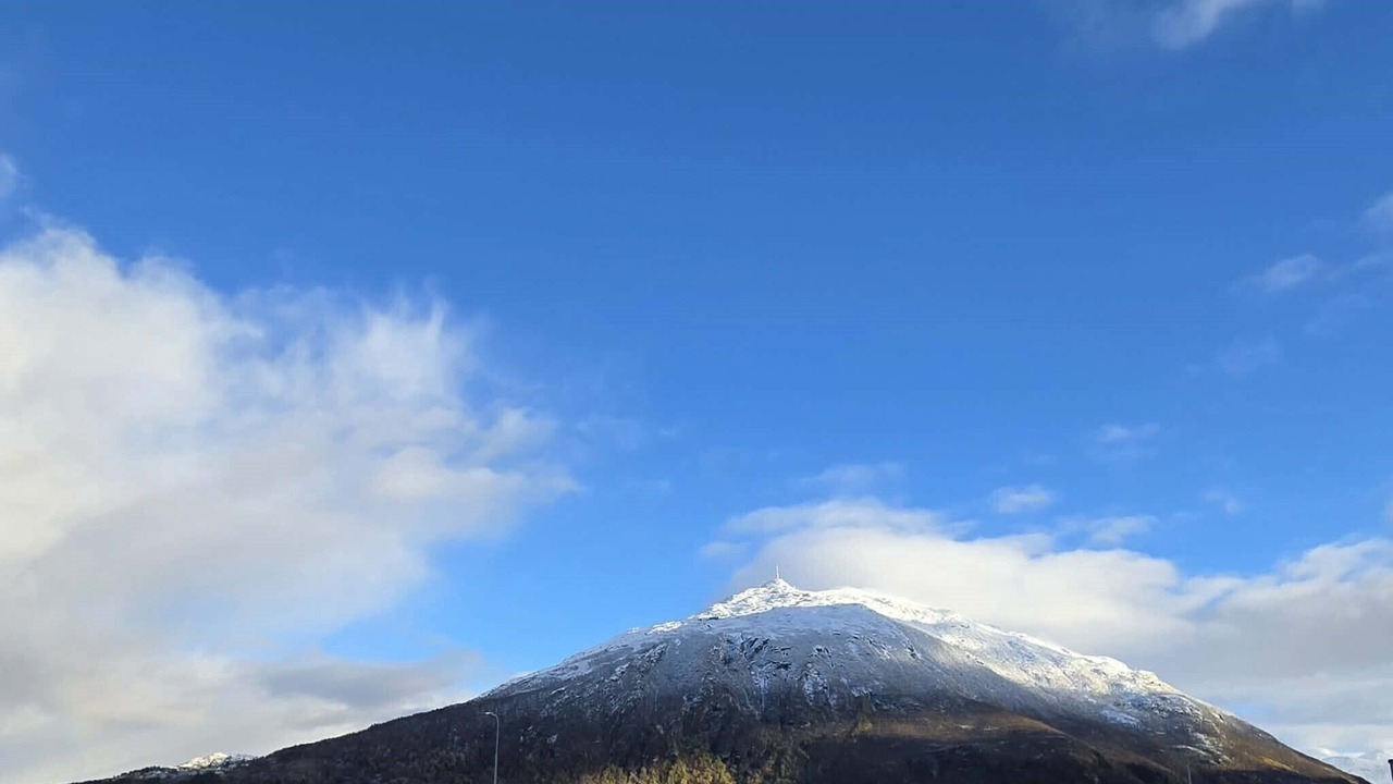 Photo of Others in Narvik