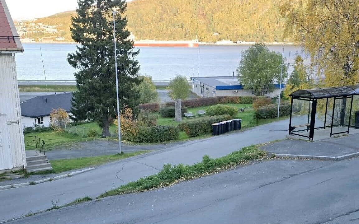 Photo of Others in Narvik