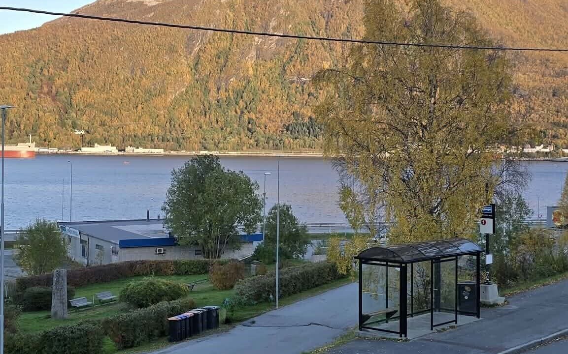 Photo of Others in Narvik