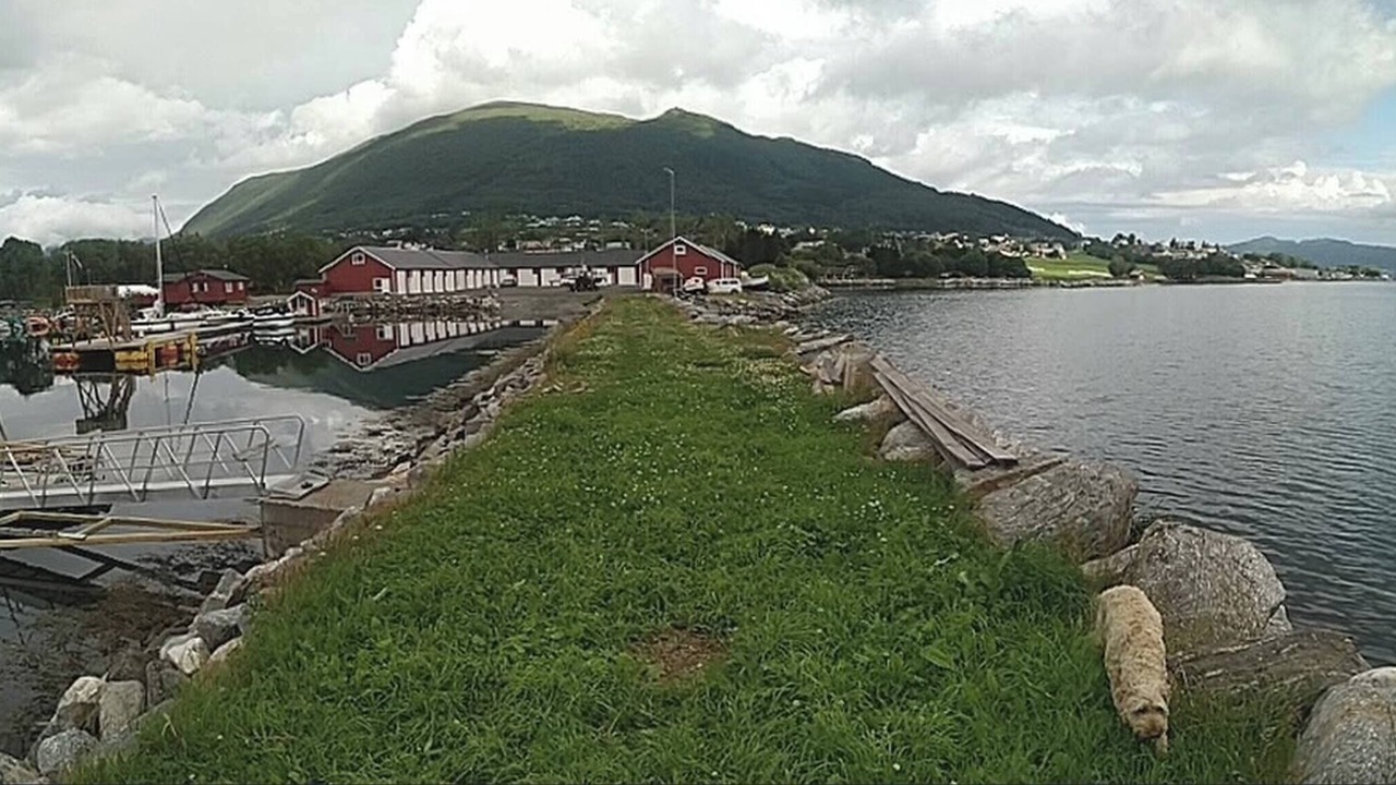 Photo of Others in Gjengstoa