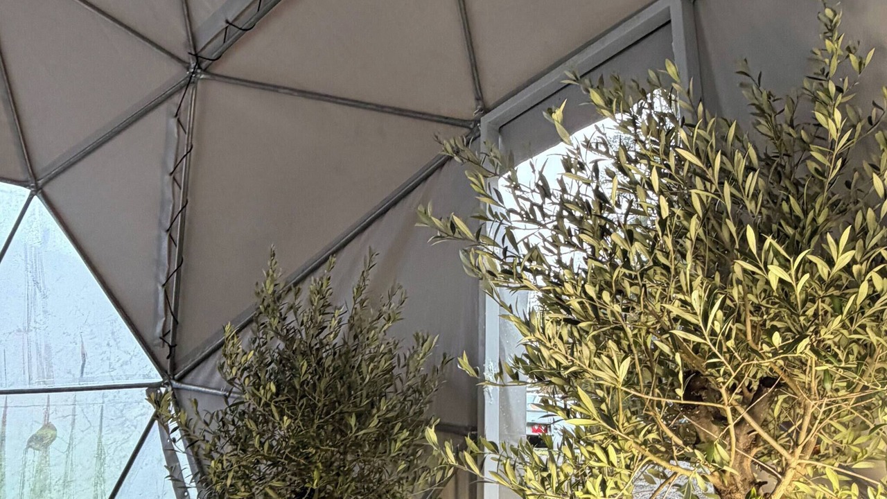 Photo of Patio Balcony in Losby