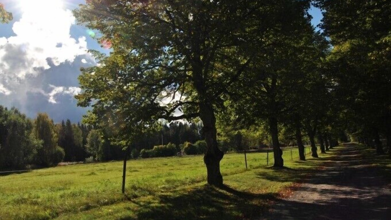 Photo of Outdoor in Nora Municipality