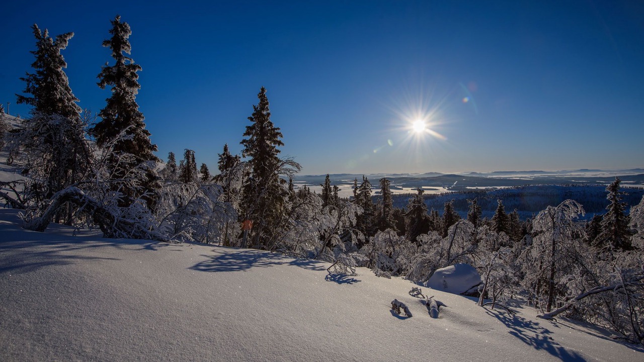 Photo of Outdoor in Arjeplog