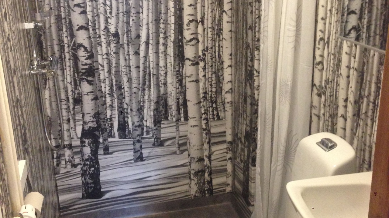 Photo of Bathroom in Rattvik