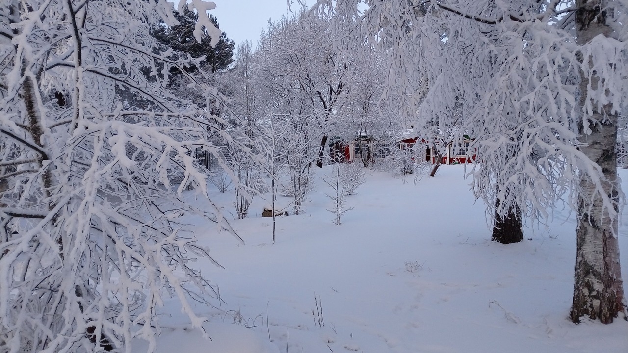 Photo of Others in Aanekoski