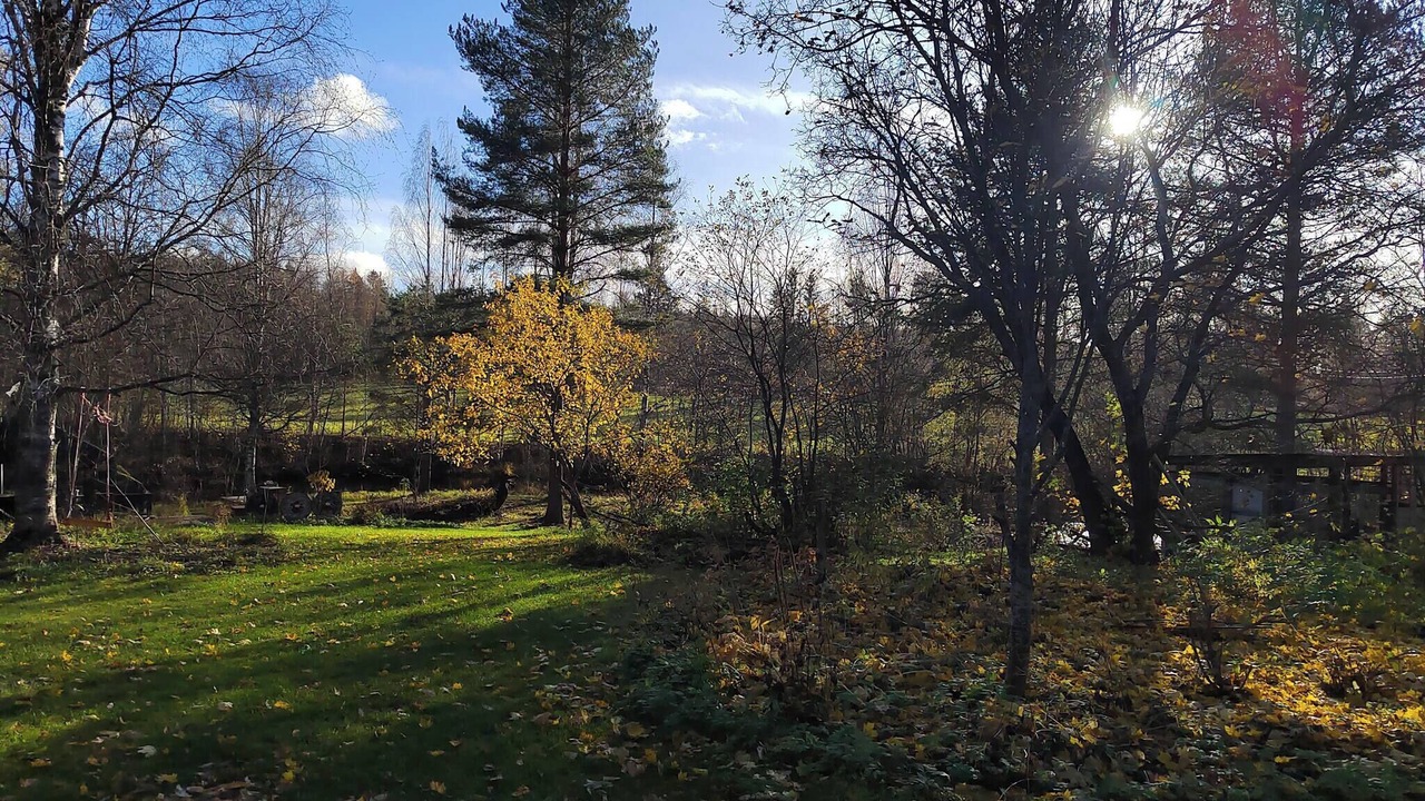 Photo of Outdoor in Aanekoski
