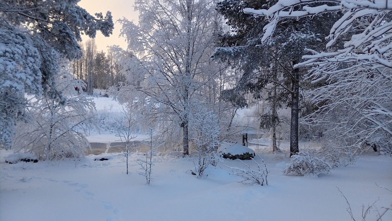 Photo of Outdoor in Aanekoski