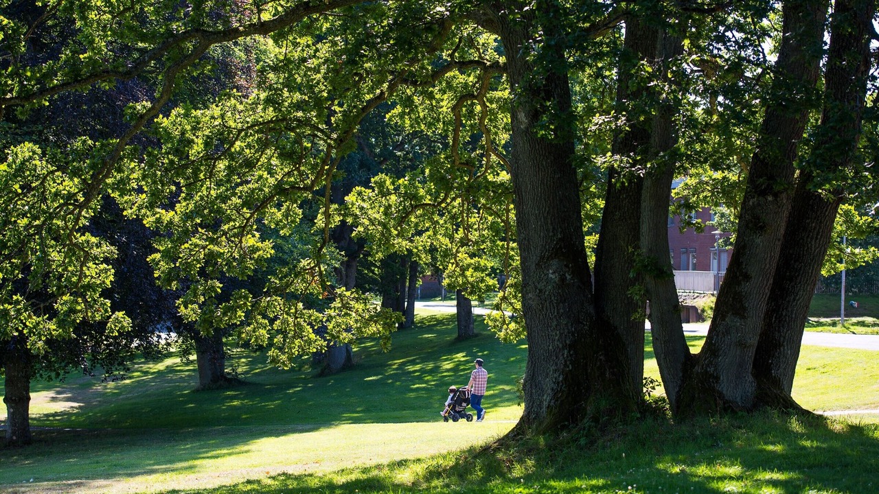Photo of Outdoor in Vanersborg