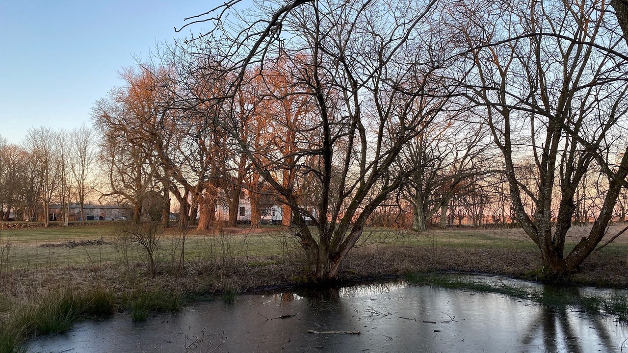Photo of Outdoor in Sjobo