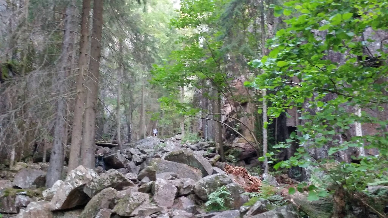 Photo of Outdoor in Ovre Eiker