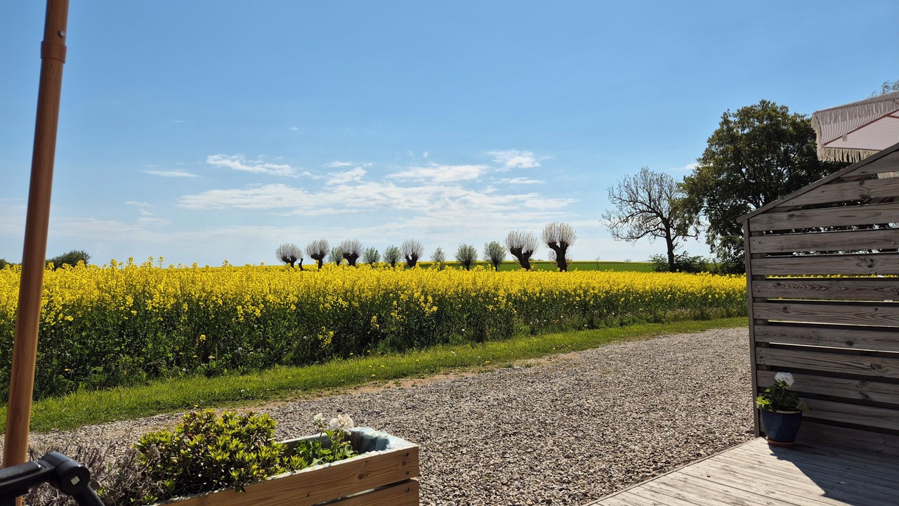 Photo of Outdoor in Lilla Beddinge