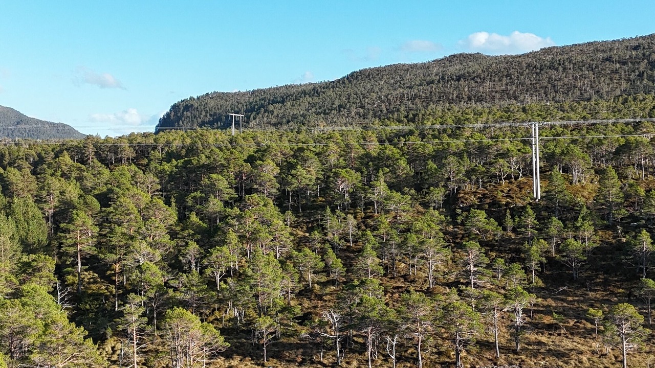 Photo of Outdoor in Aure