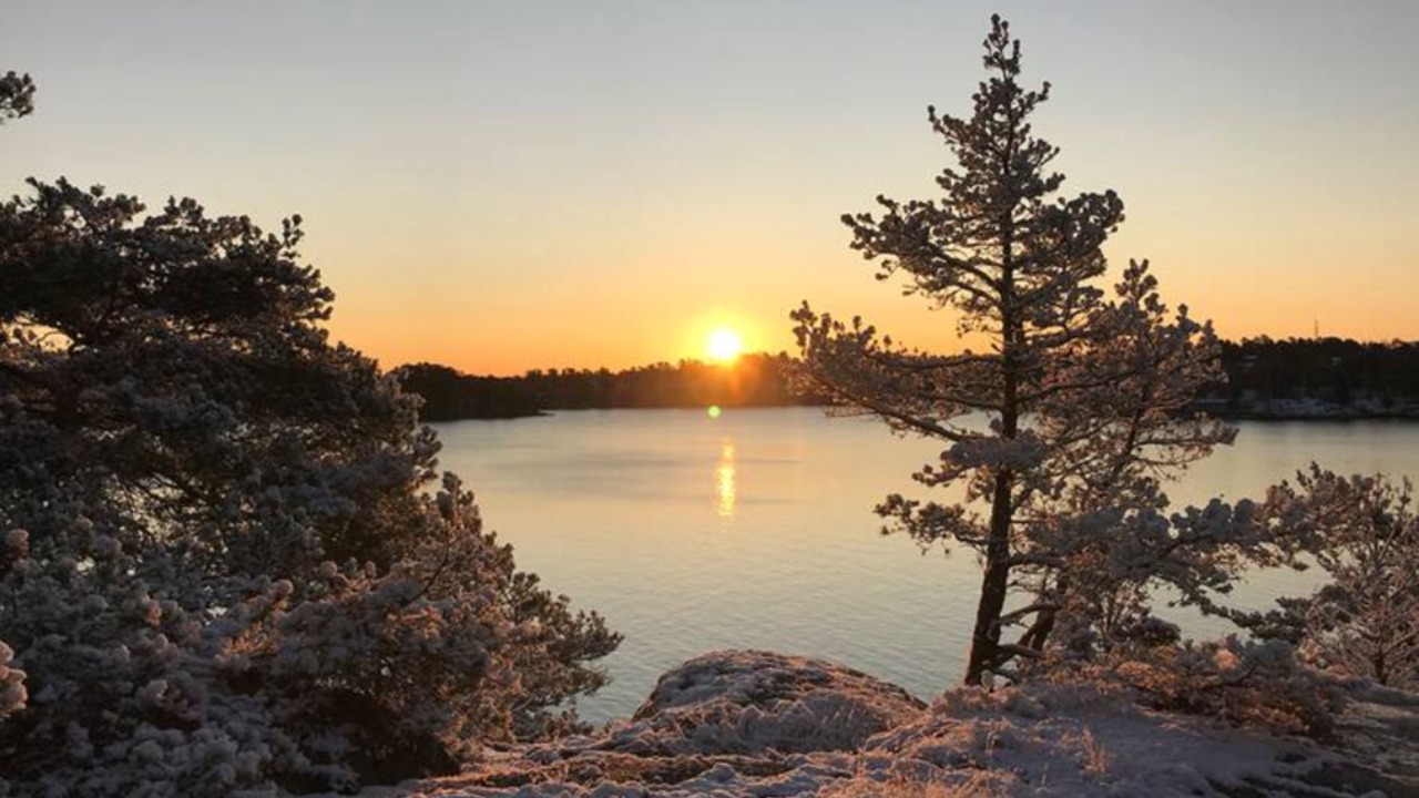 Photo of Others in Djurhamn