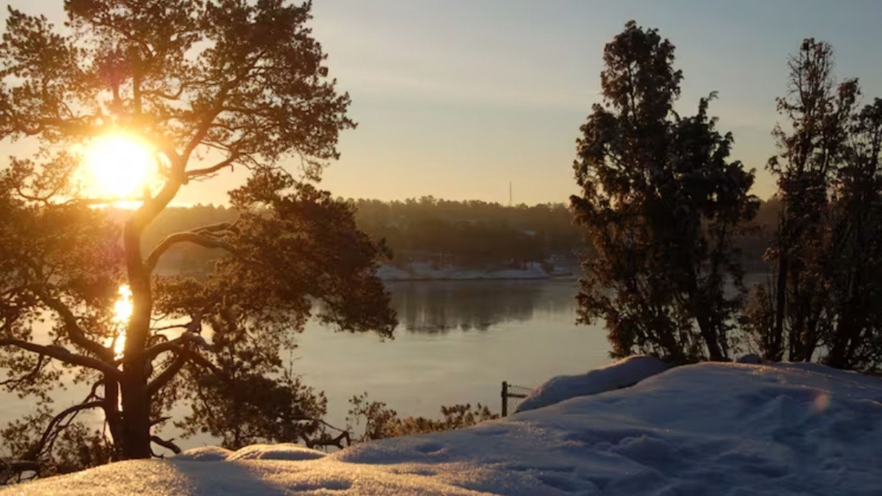 Photo of Others in Djurhamn