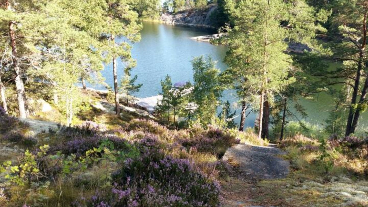 Photo of Others in Djurhamn