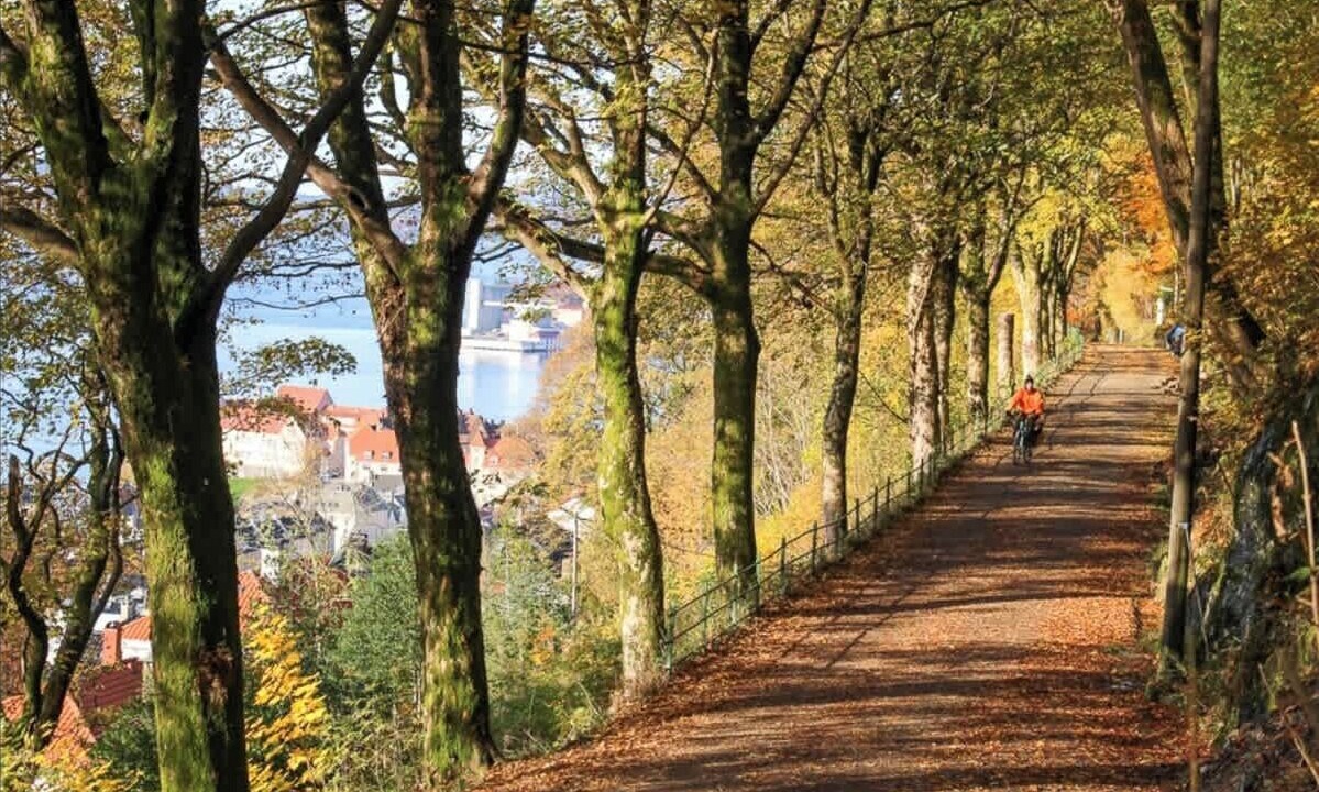 Photo of Others in Bergenhus