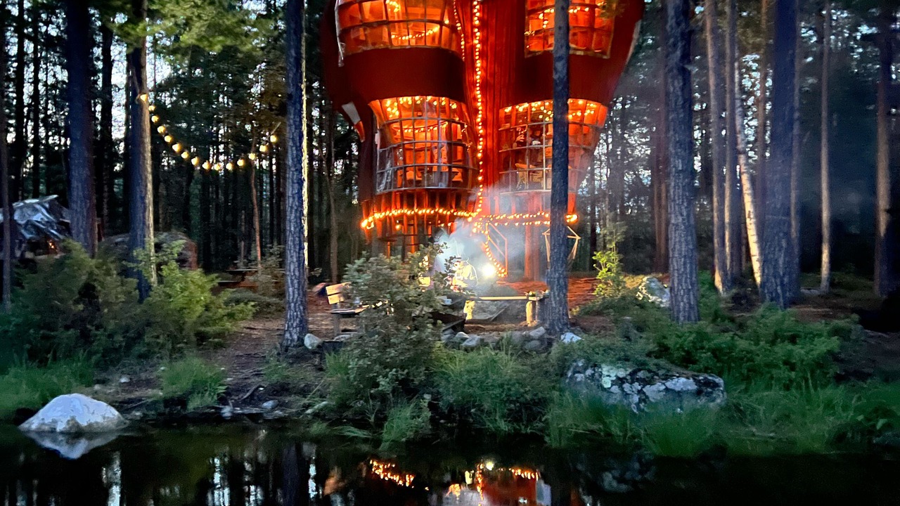 Photo of Others in Overturingen