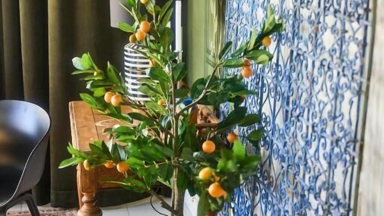 Photo of Patio Balcony in Burgsvik