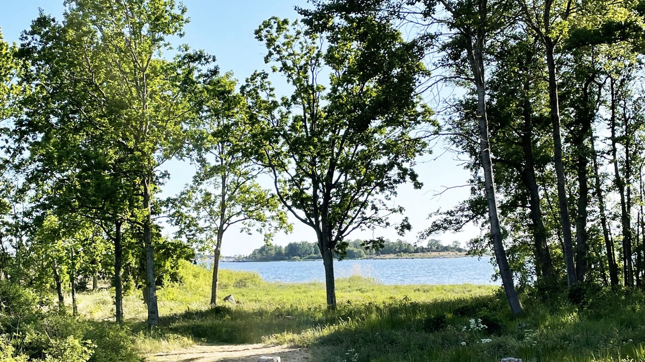 Photo of Others in Ronneby