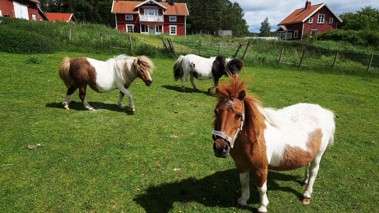 Photo of Others in Stromstad O