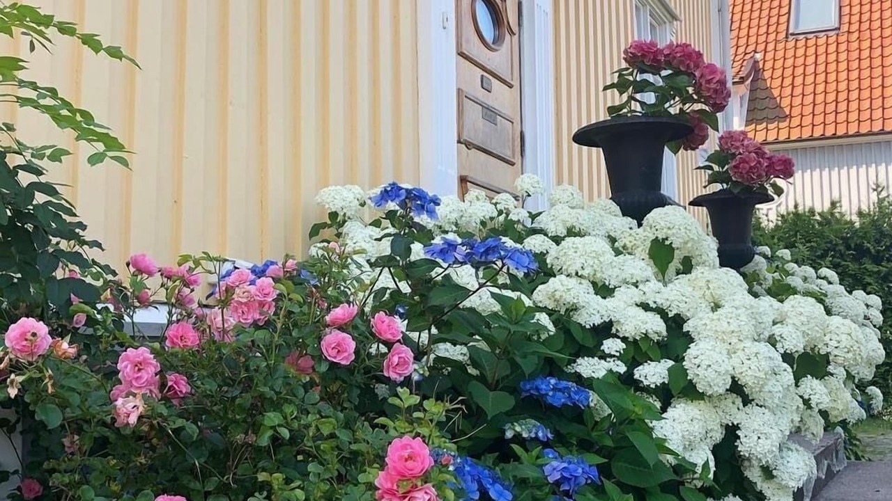 Photo of Outdoor in Orgryte-Harlanda