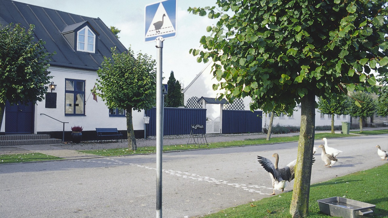 Photo of Outdoor in Skanor-Falsterbo