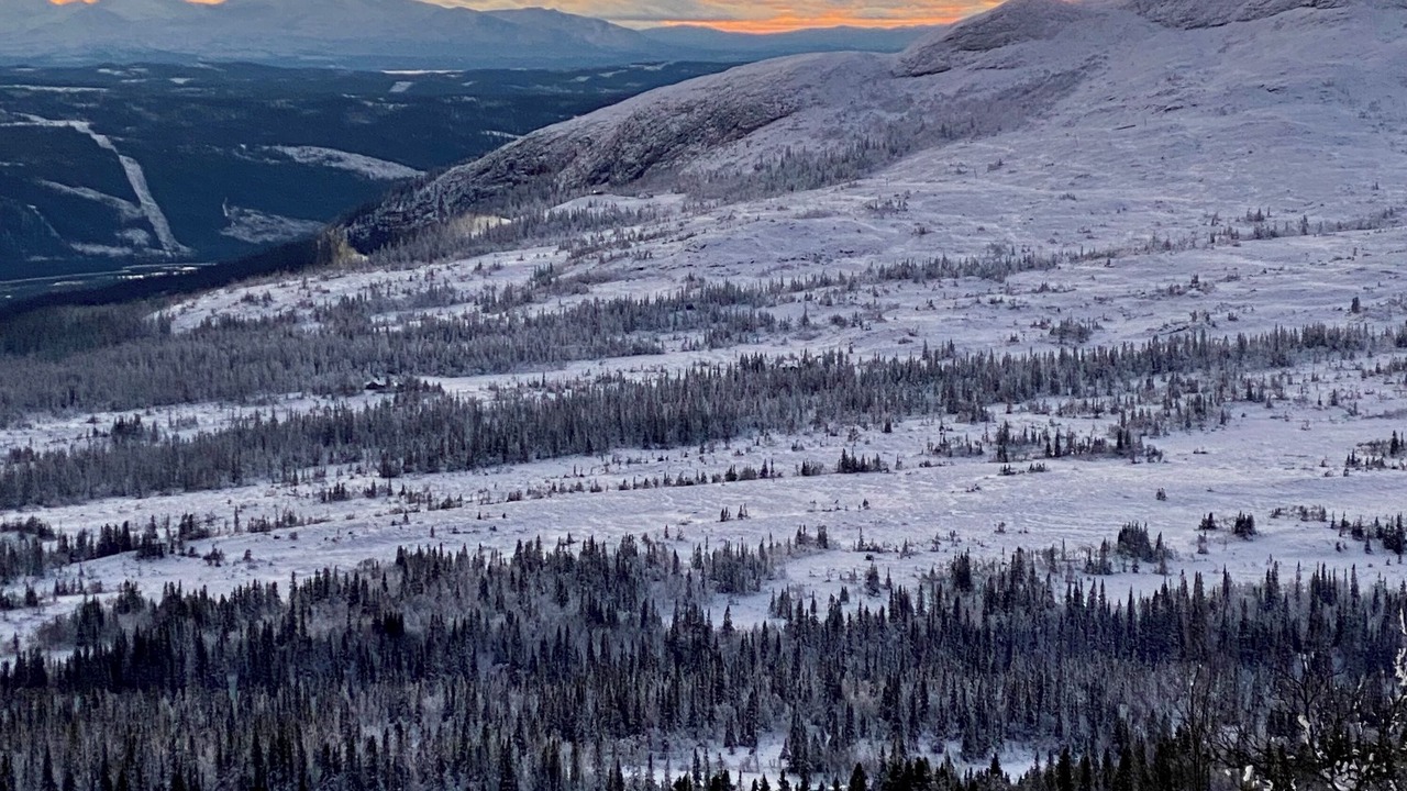 Photo of Outdoor in Are Municipality