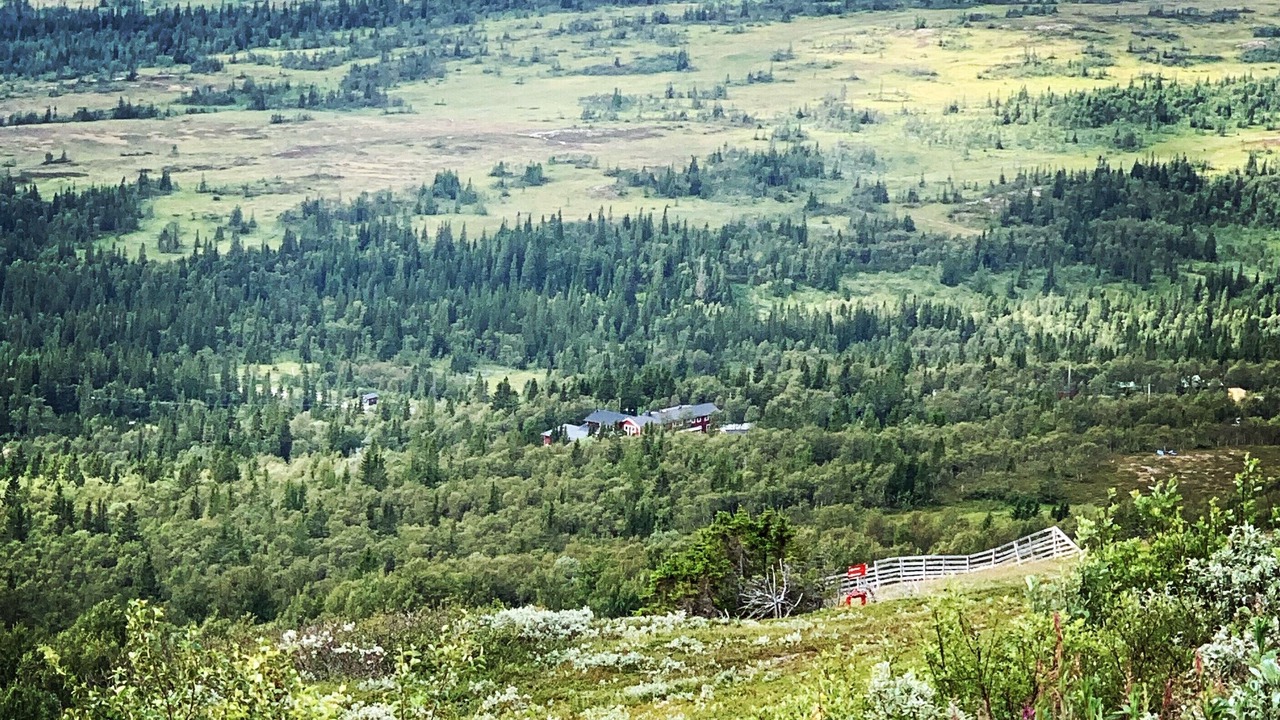 Photo of Outdoor in Are Municipality
