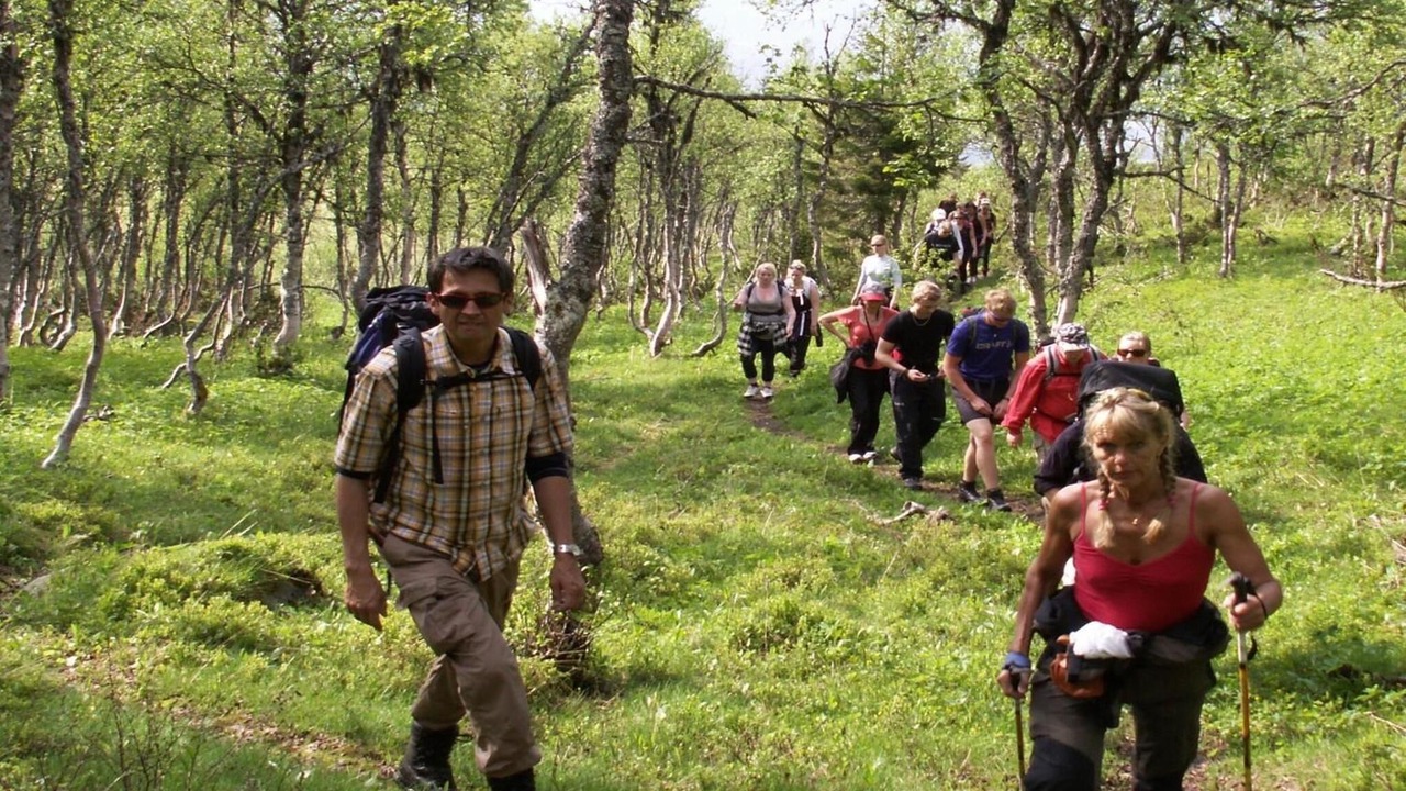 Photo of Outdoor in Are Municipality