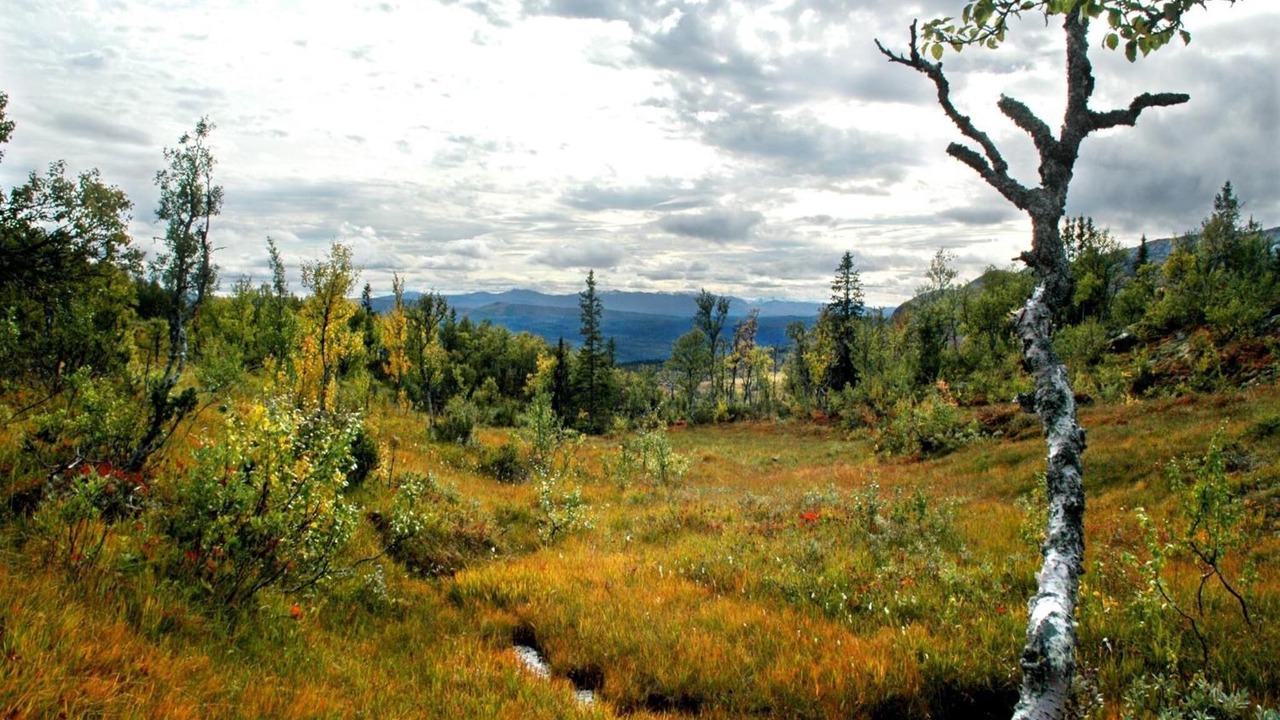 Photo of Outdoor in Are Municipality