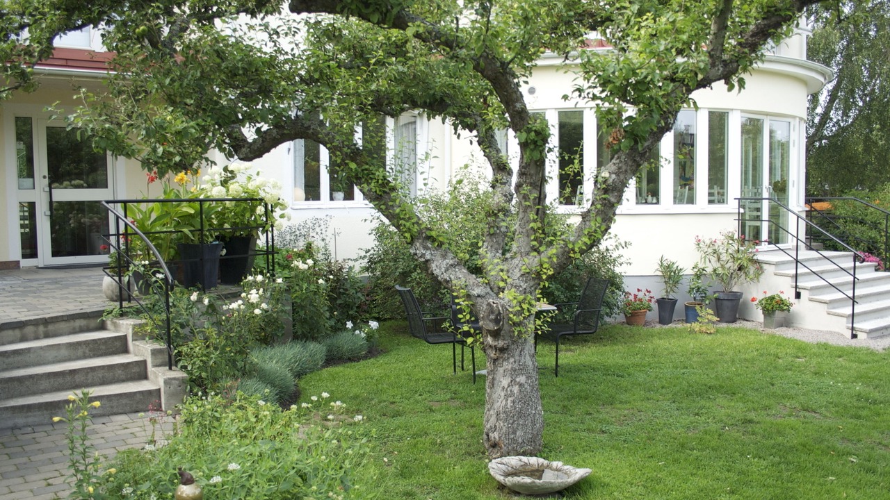 Photo of Outdoor in Borgholm