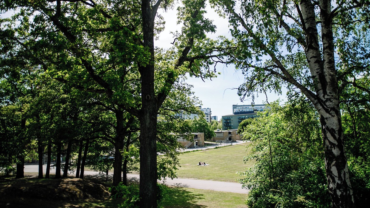 Photo of Outdoor in Huvudsta