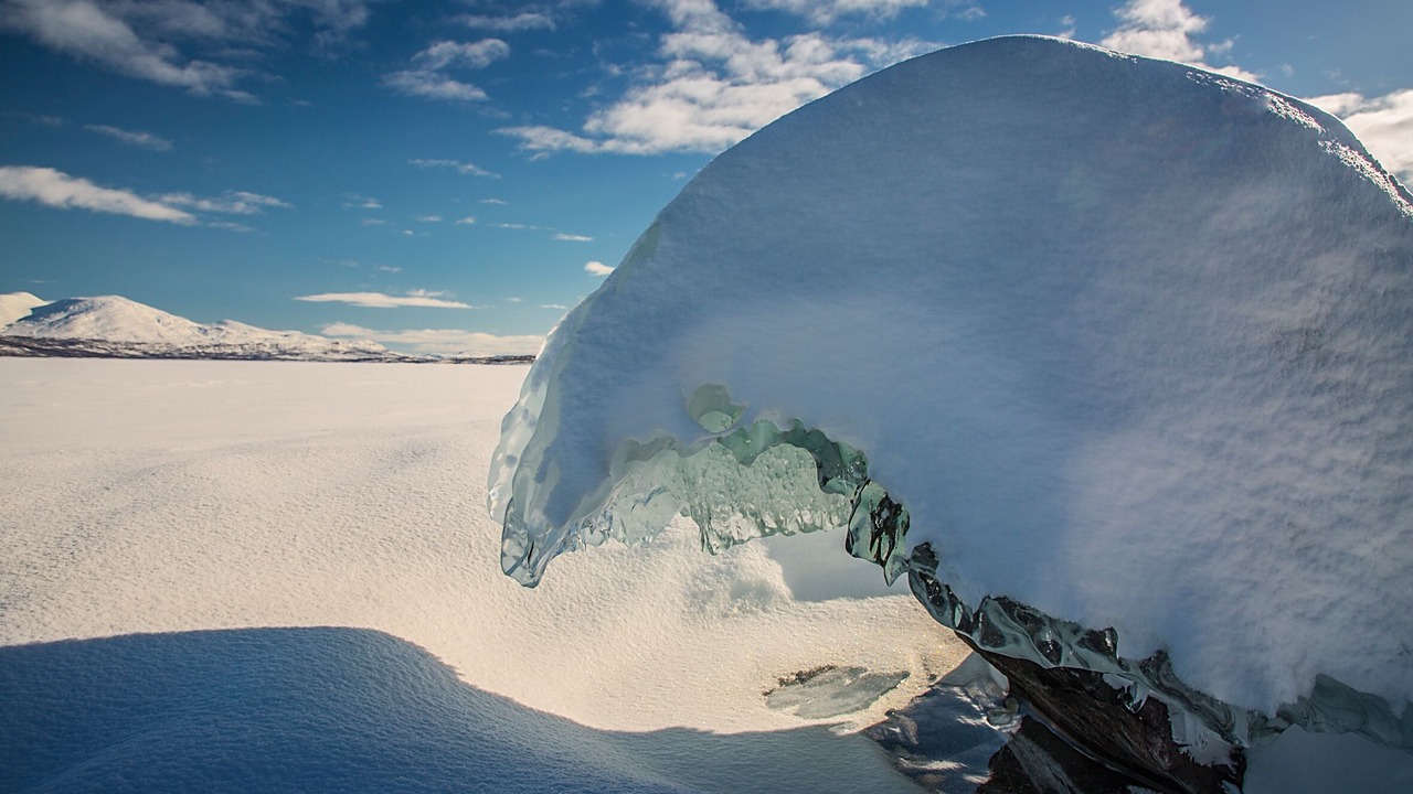 Photo of Others in Abisko