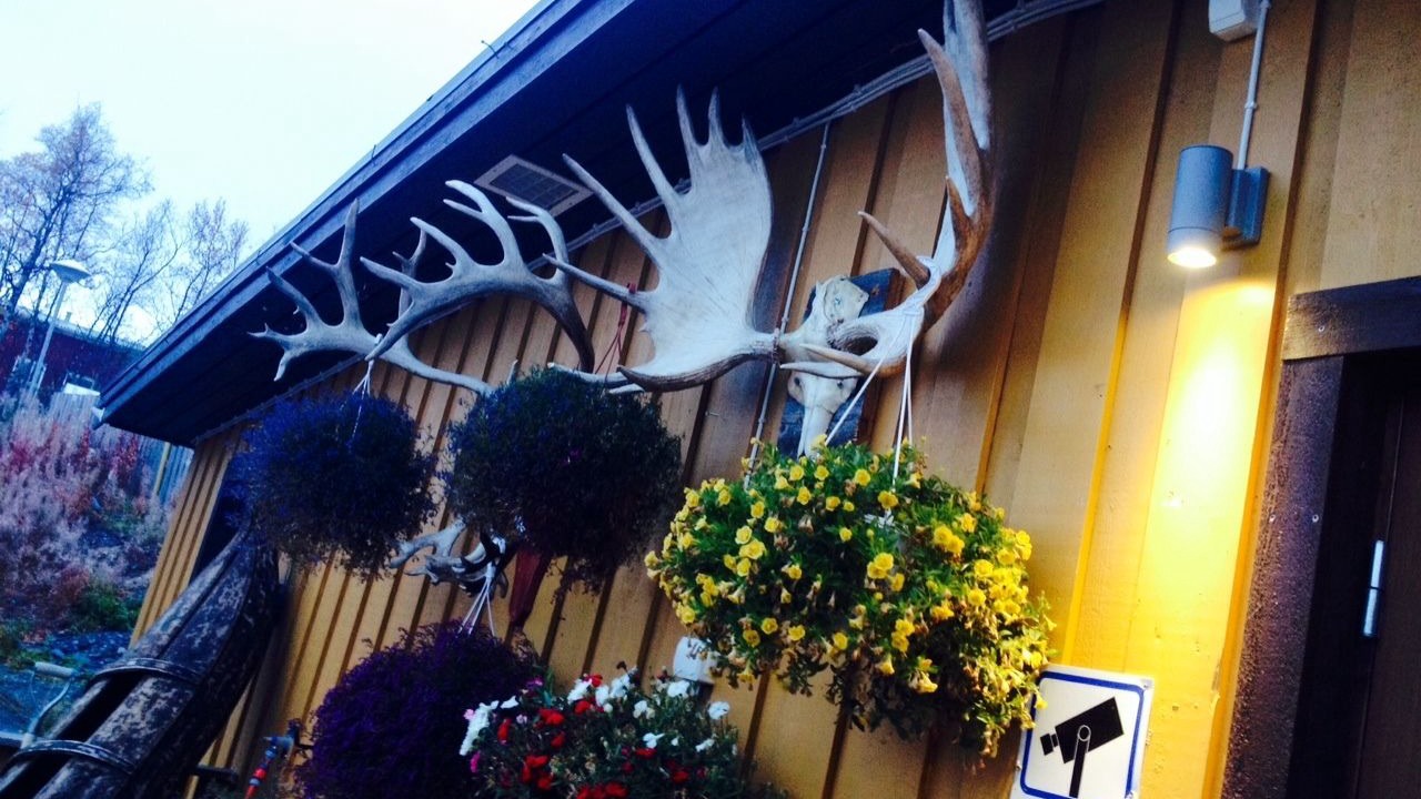 Photo of Outdoor in Abisko