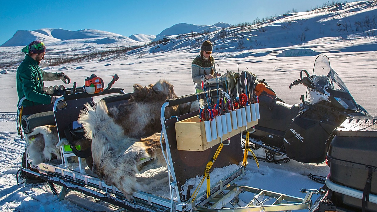 Photo of Others in Abisko