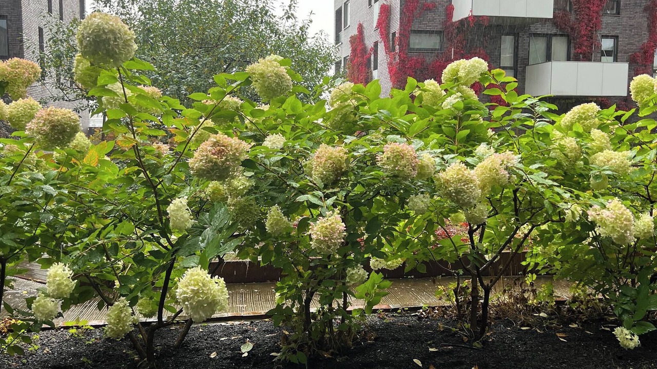Photo of Outdoor in Gamle Oslo