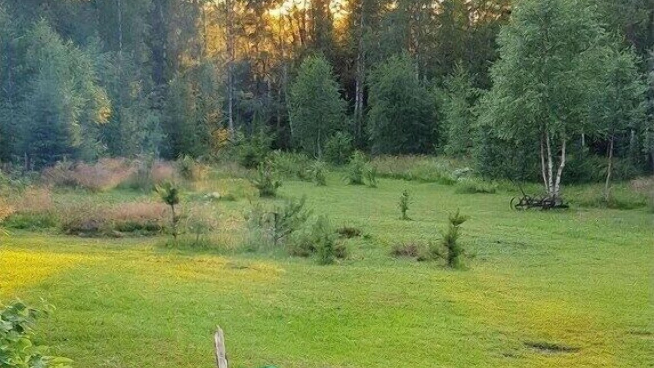 Photo of Outdoor in Stollet