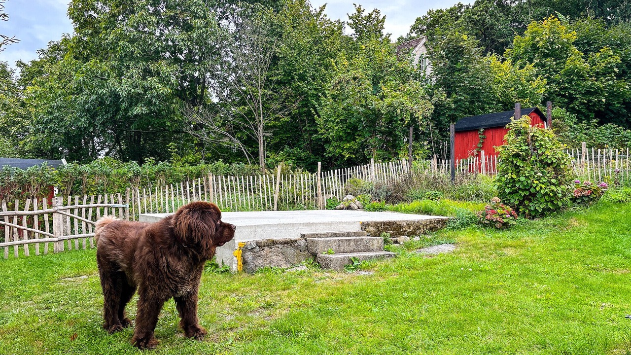 Photo of Outdoor in Solvesborg