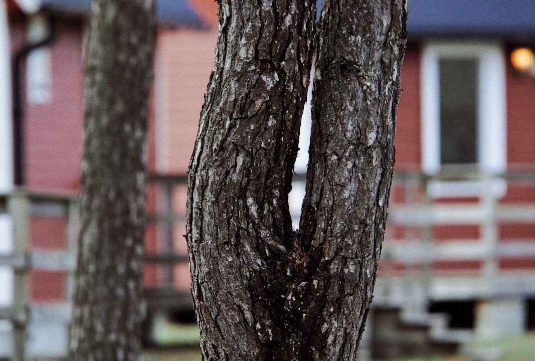 Photo of Outdoor in Valleviken