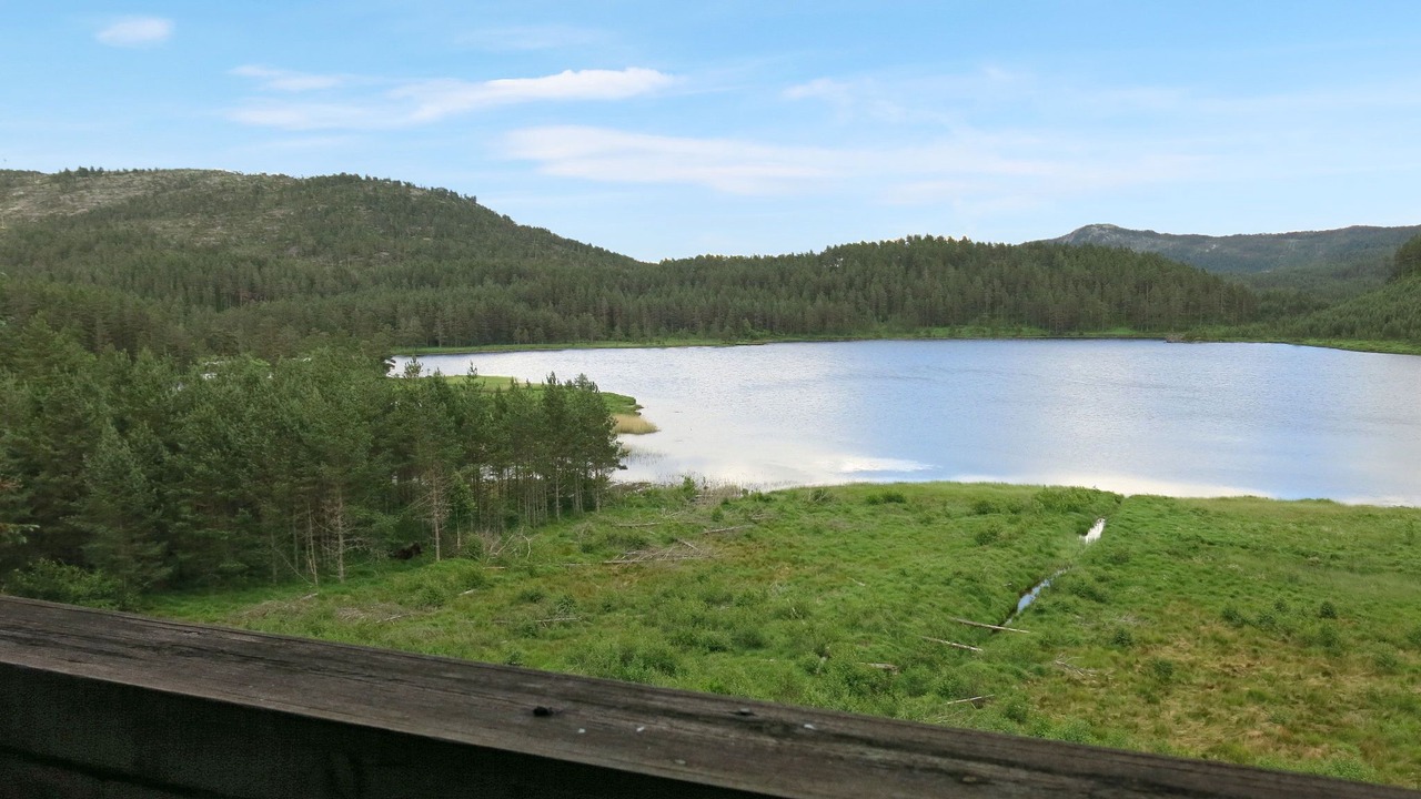 Photo of Others in Dølemo