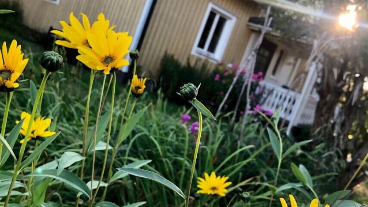 Photo of Outdoor in Morlunda