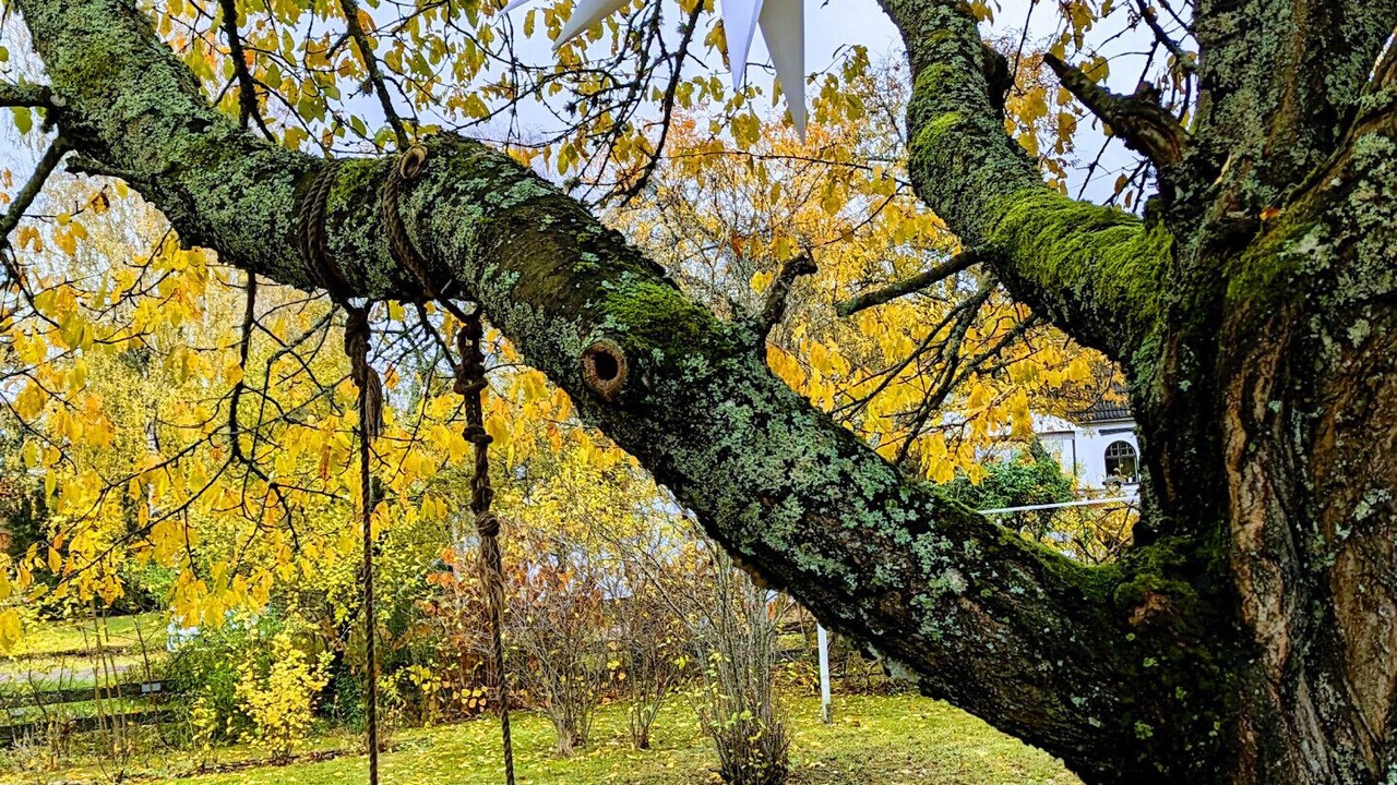 Photo of Outdoor in Morlunda