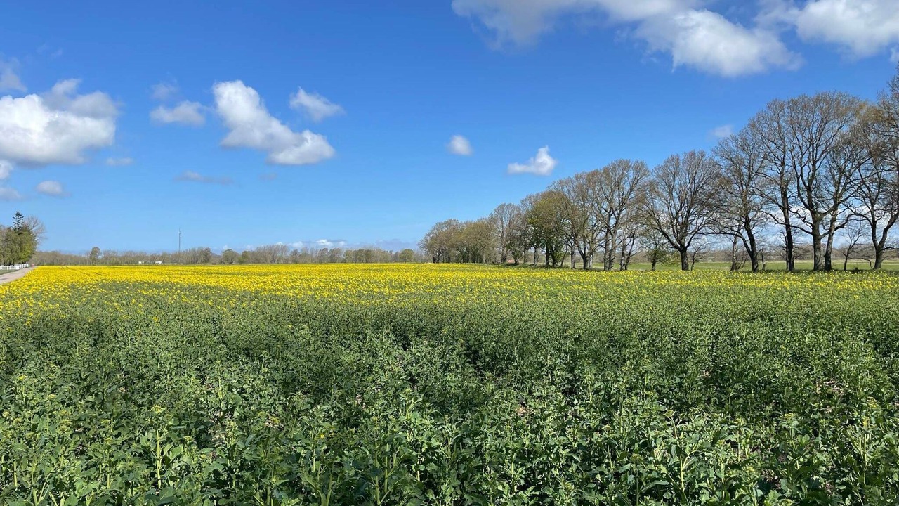 Photo of Outdoor in Farhult