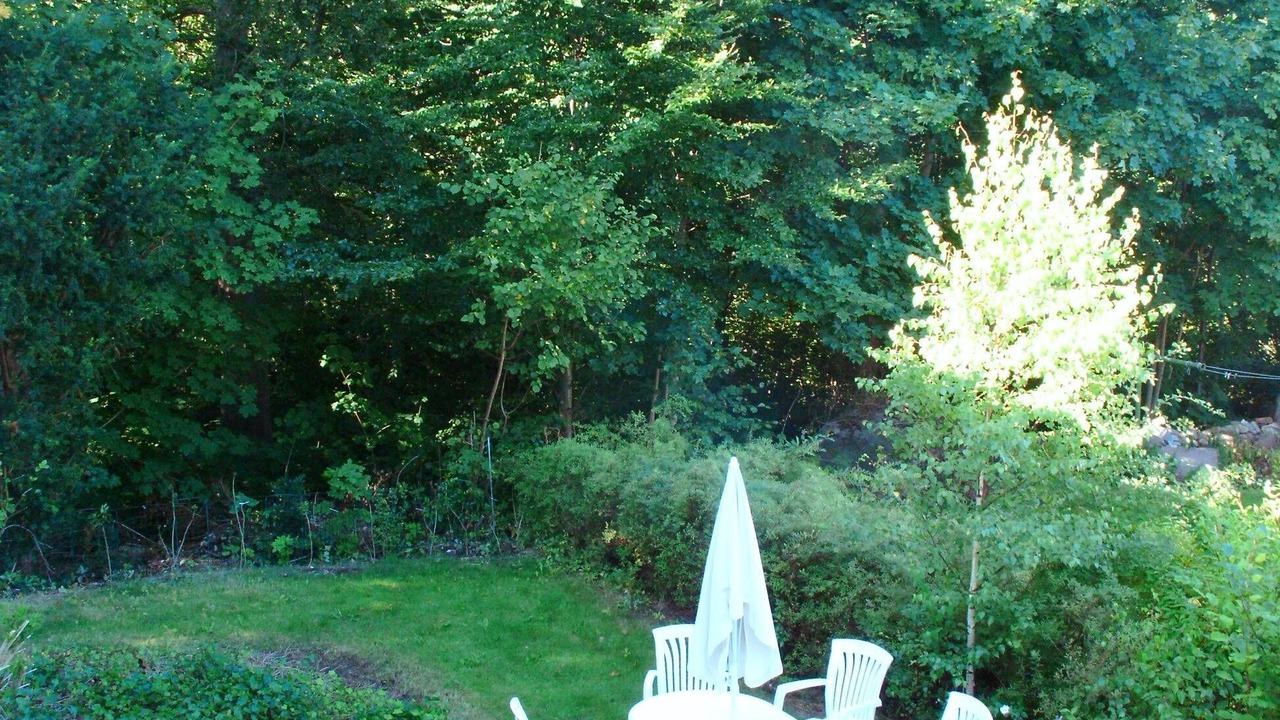 Photo of Outdoor in Jamshog